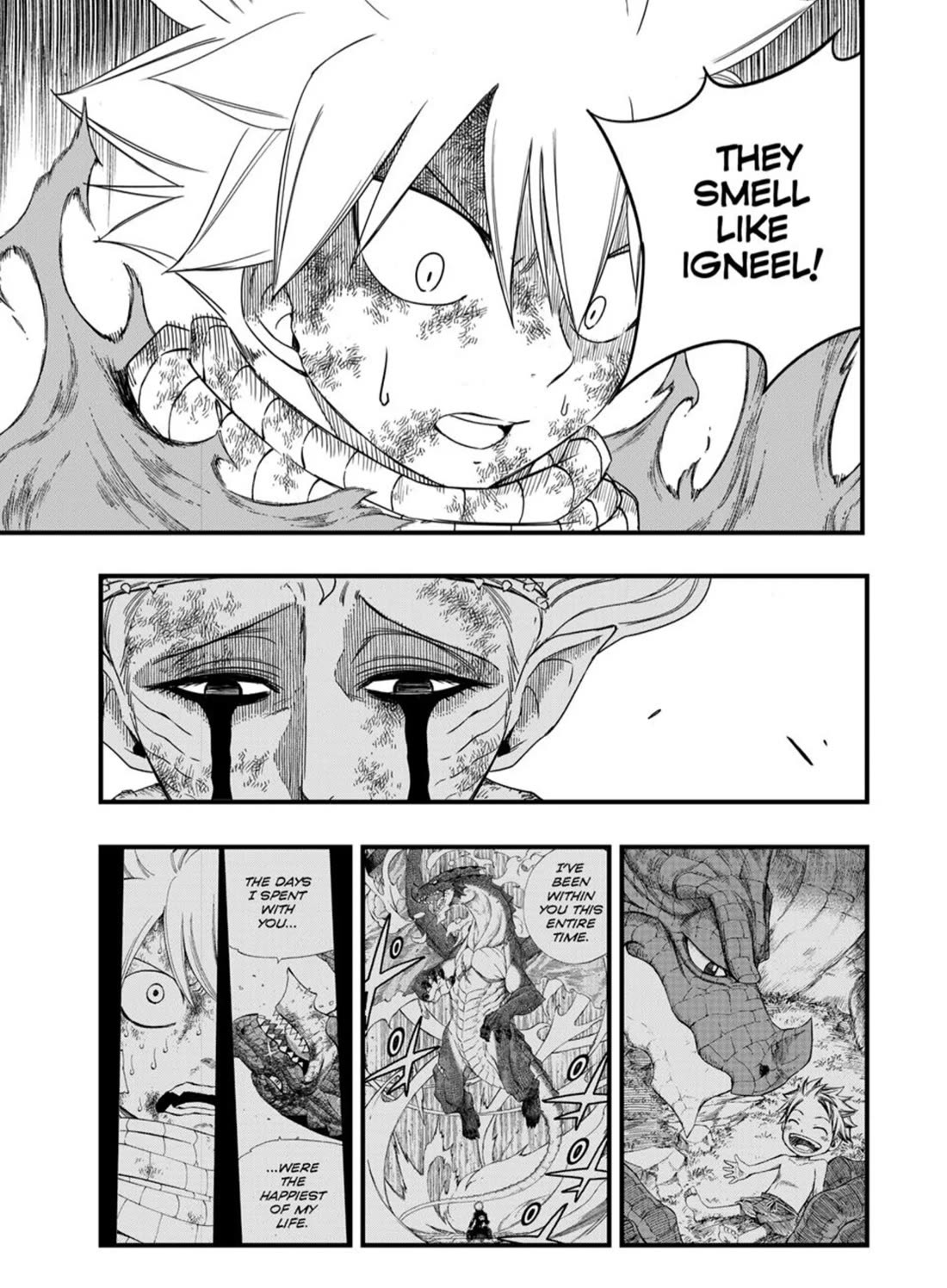 Fairy Tail: 100 Years Quest chapter 197 page 15