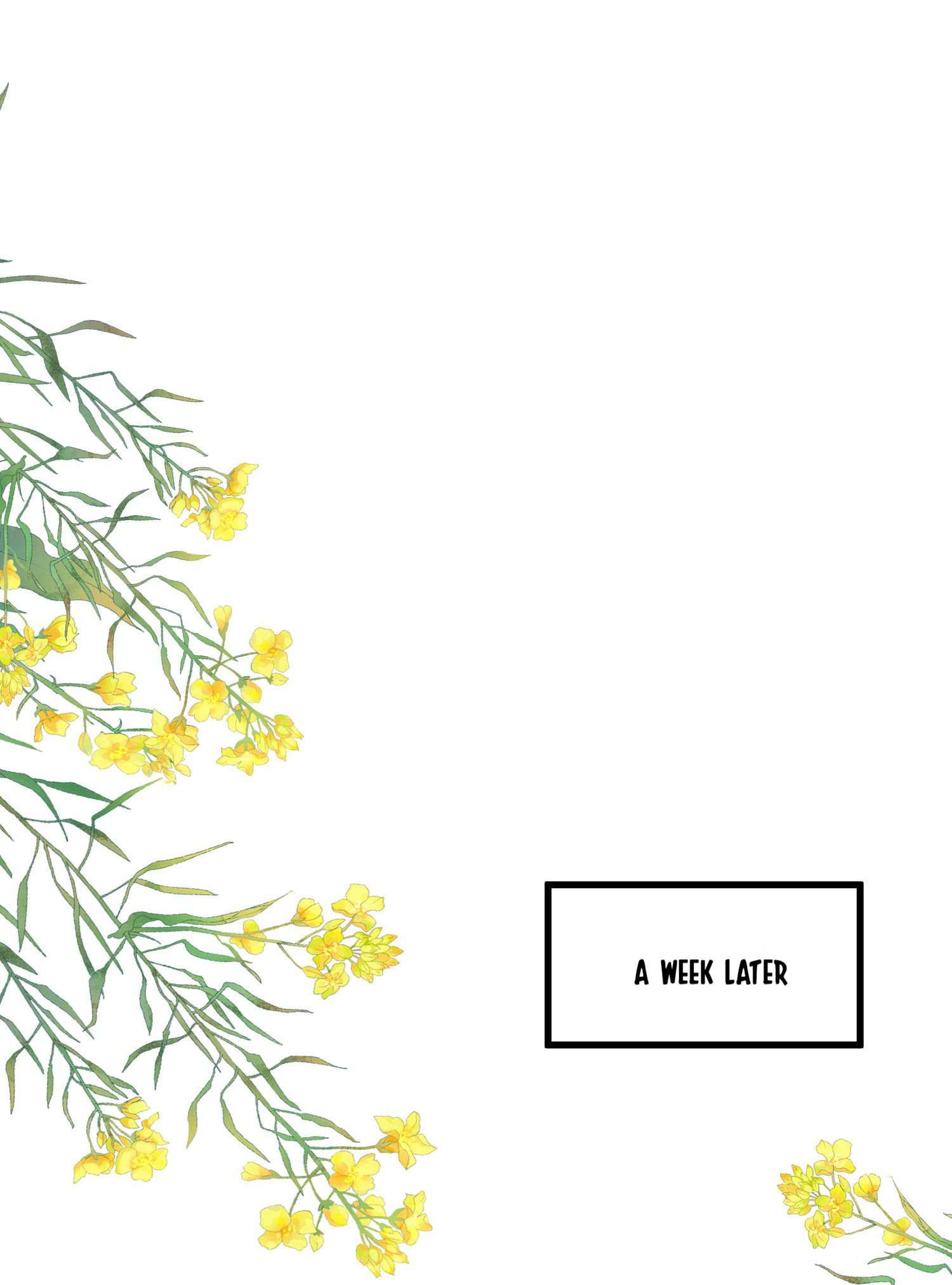 Falling To Where I Belong chapter 62 page 20