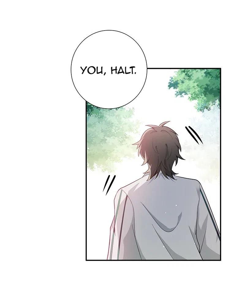 Female Cultivators Are After Me chapter 11 page 19