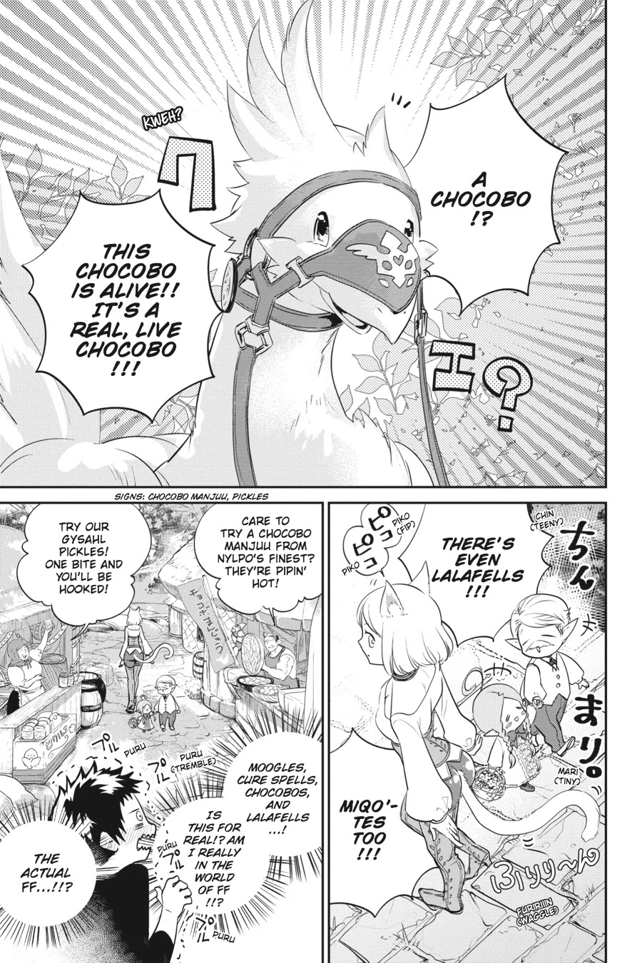 Final Fantasy: Lost Stranger chapter 1 page 26