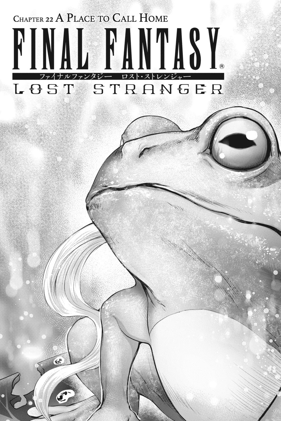 Final Fantasy: Lost Stranger chapter 22 page 2