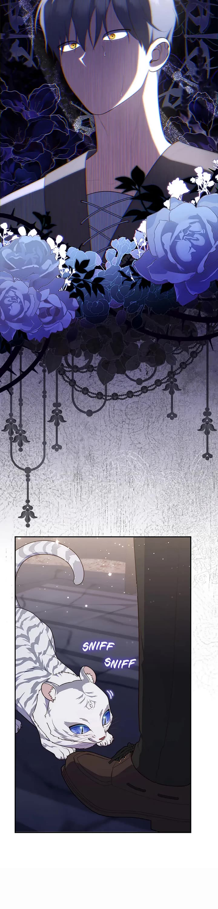 Fortune-Telling Lady chapter 77 page 37