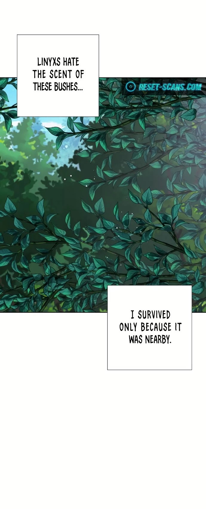 From a Knight to a Lady chapter 31 page 28