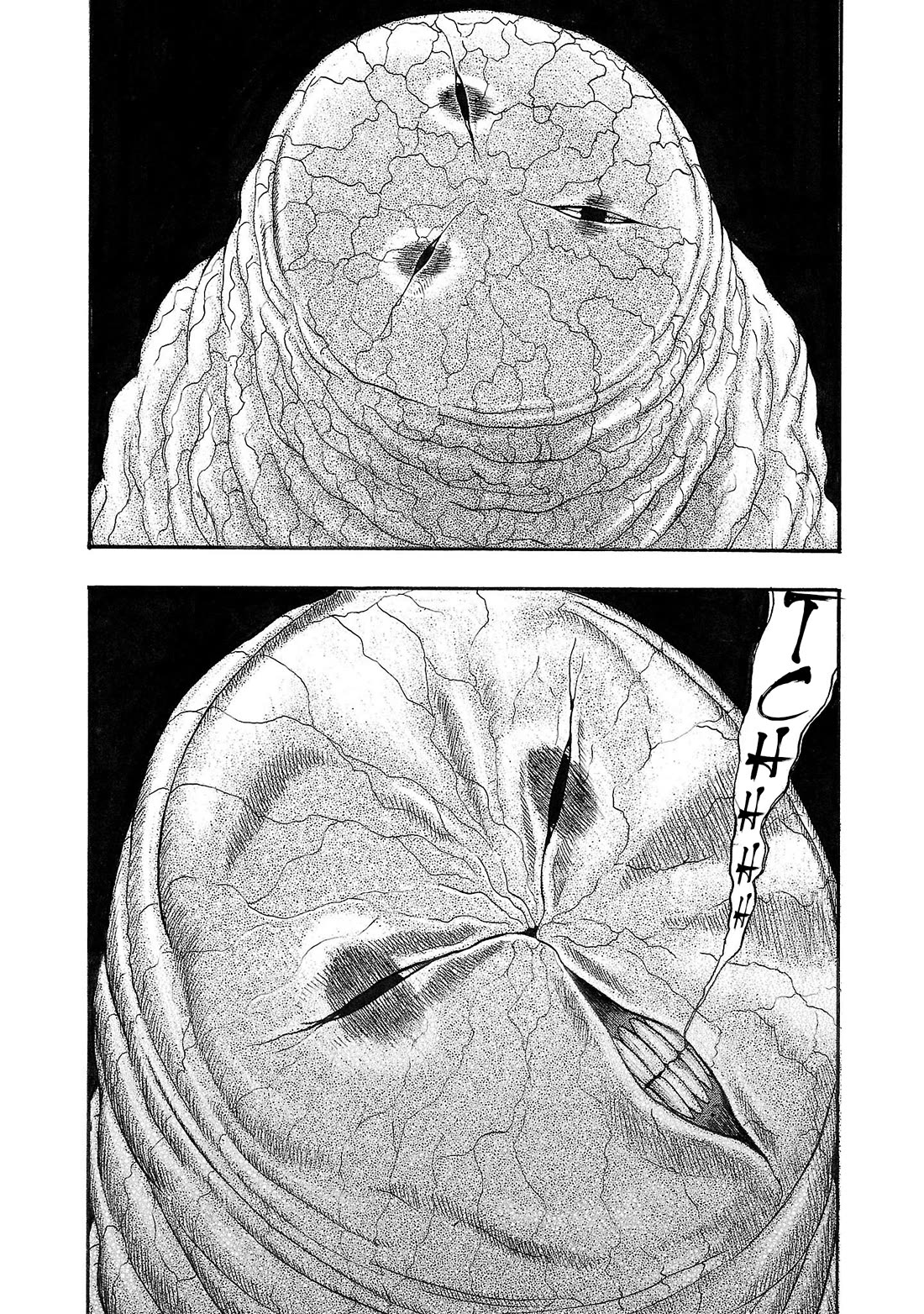Fuan no Tane Asterisk chapter 240 page 5