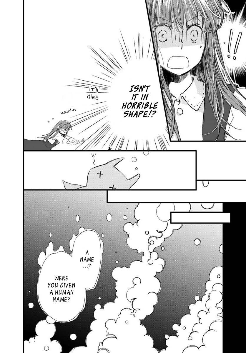 Fukushuu wo Chikatta Shironeko wa Ryuuou no Hiza no jou de Damin wo Musaboru chapter 15.1 page 8