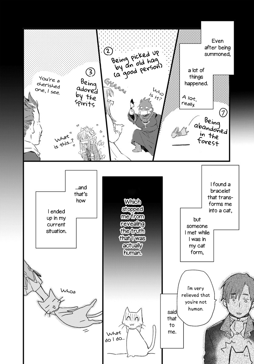 Fukushuu wo Chikatta Shironeko wa Ryuuou no Hiza no jou de Damin wo Musaboru chapter 17 page 4