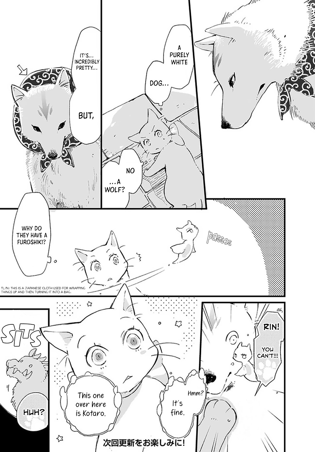 Fukushuu wo Chikatta Shironeko wa Ryuuou no Hiza no jou de Damin wo Musaboru chapter 19 page 17