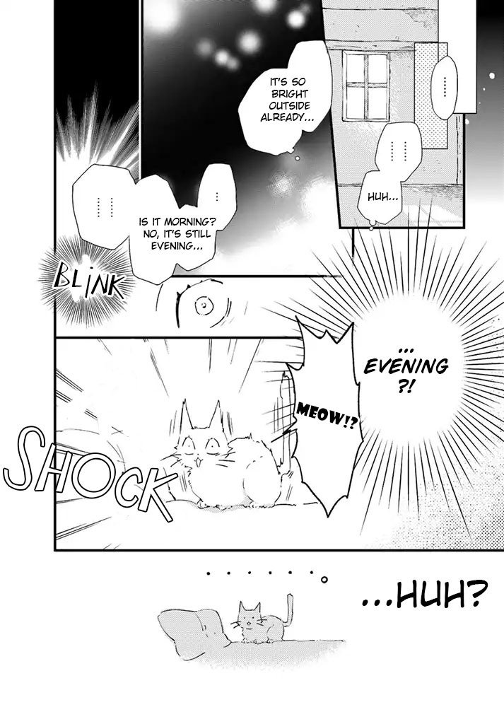 Fukushuu wo Chikatta Shironeko wa Ryuuou no Hiza no jou de Damin wo Musaboru chapter 5.1 page 19