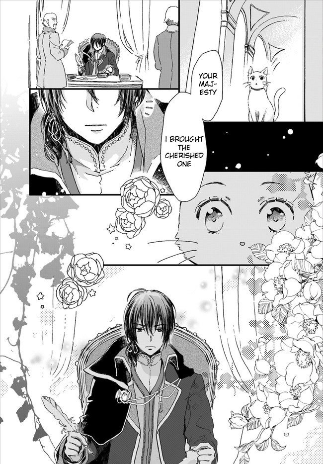 Fukushuu wo Chikatta Shironeko wa Ryuuou no Hiza no jou de Damin wo Musaboru chapter 7.4 page 8