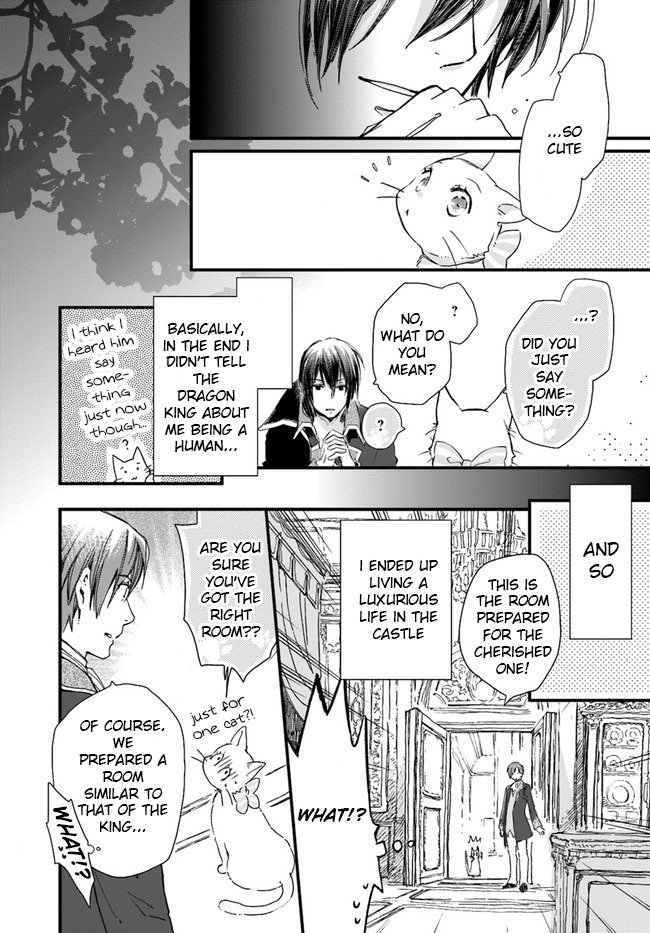 Fukushuu wo Chikatta Shironeko wa Ryuuou no Hiza no jou de Damin wo Musaboru chapter 8.1 page 12