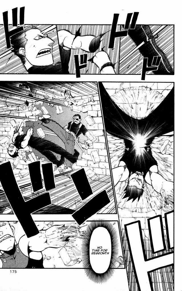 Fullmetal Alchemist chapter 29 page 41