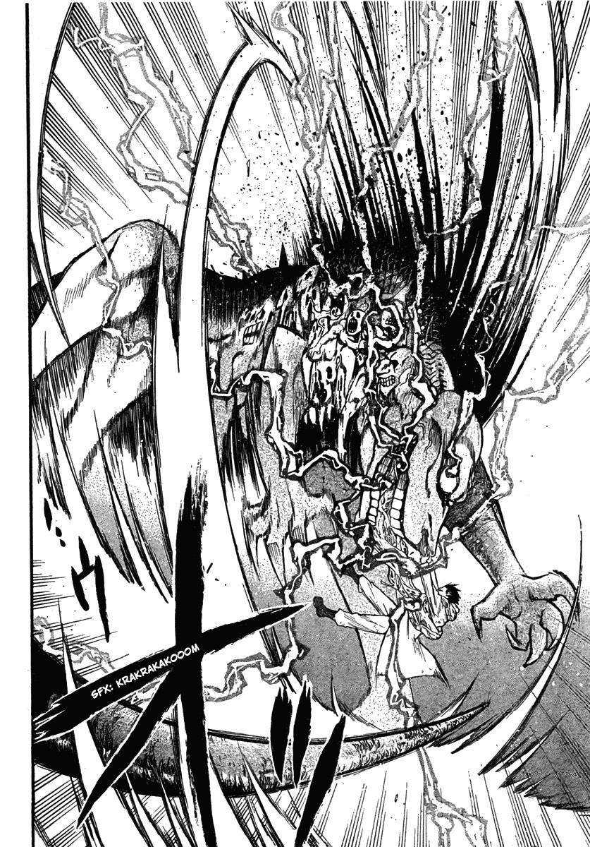 Fullmetal Alchemist chapter 79 page 25