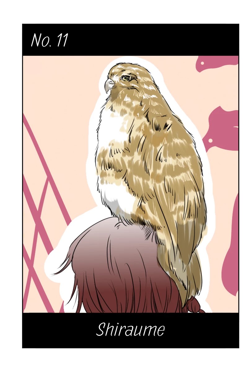 Fundamentals of Light chapter 11 page 1