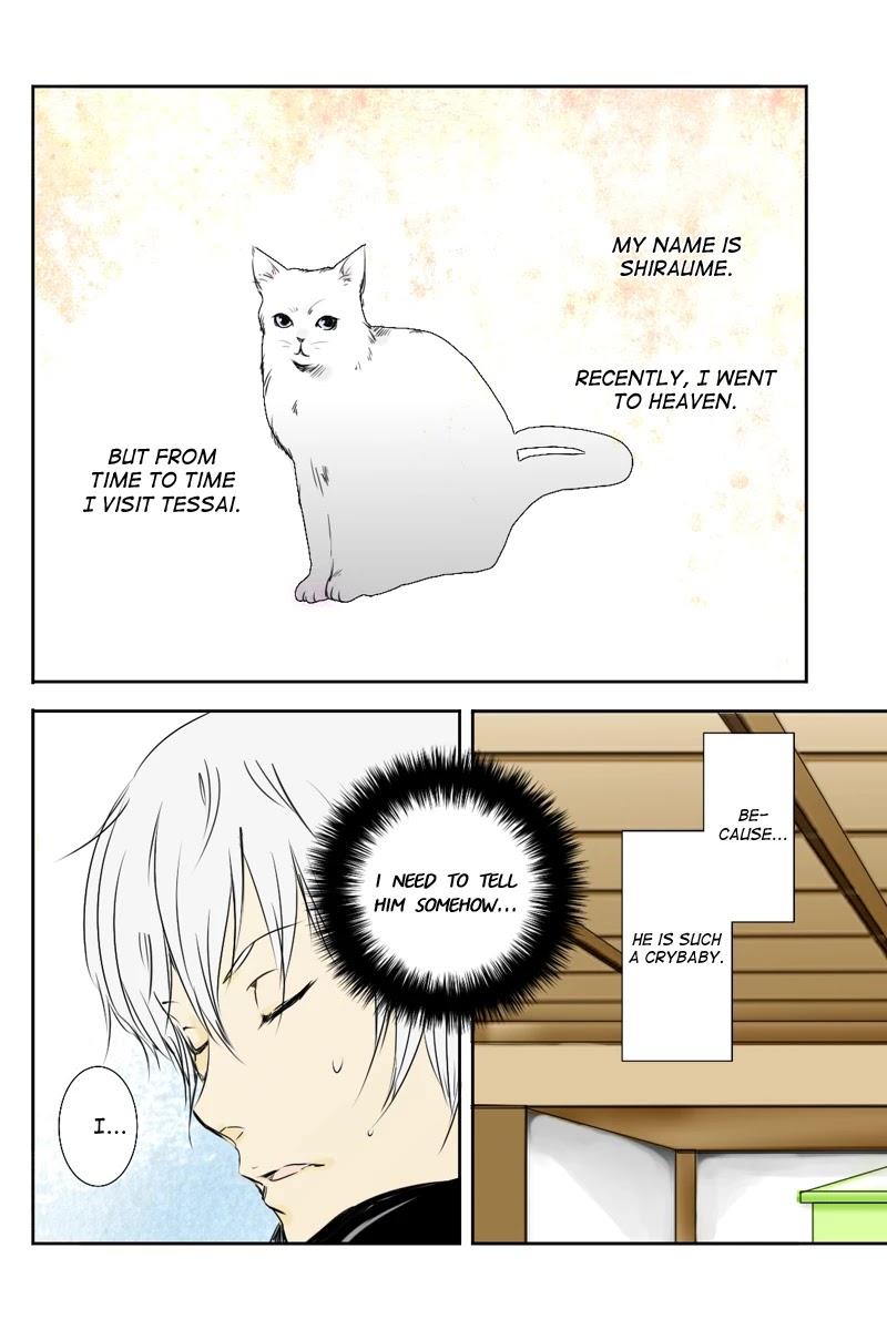 Fundamentals of Light chapter 11 page 2