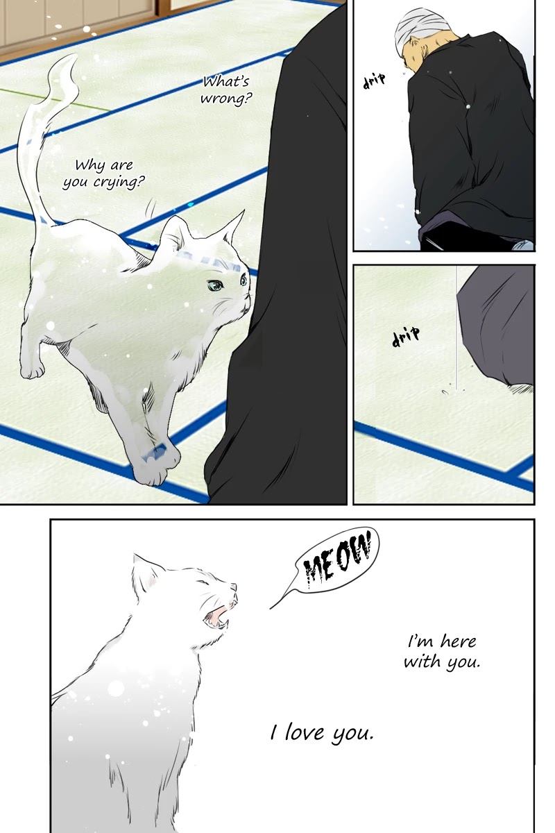 Fundamentals of Light chapter 11 page 5