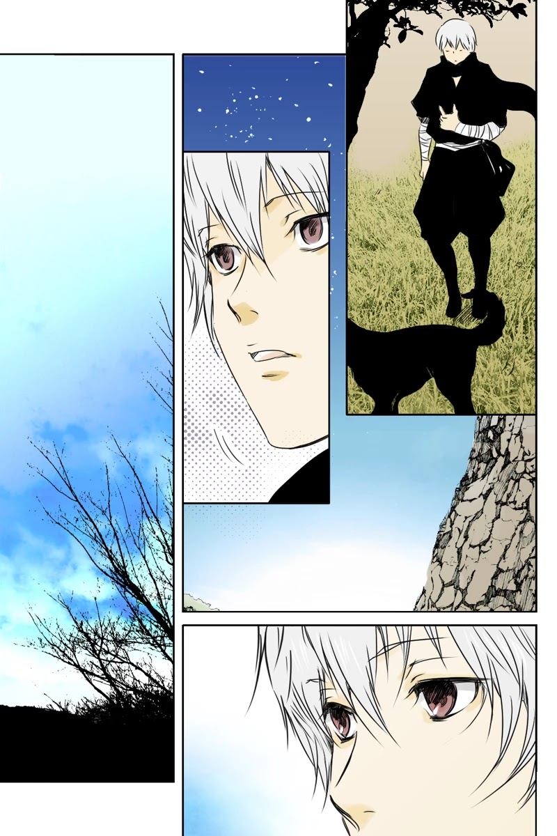 Fundamentals of Light chapter 13 page 11