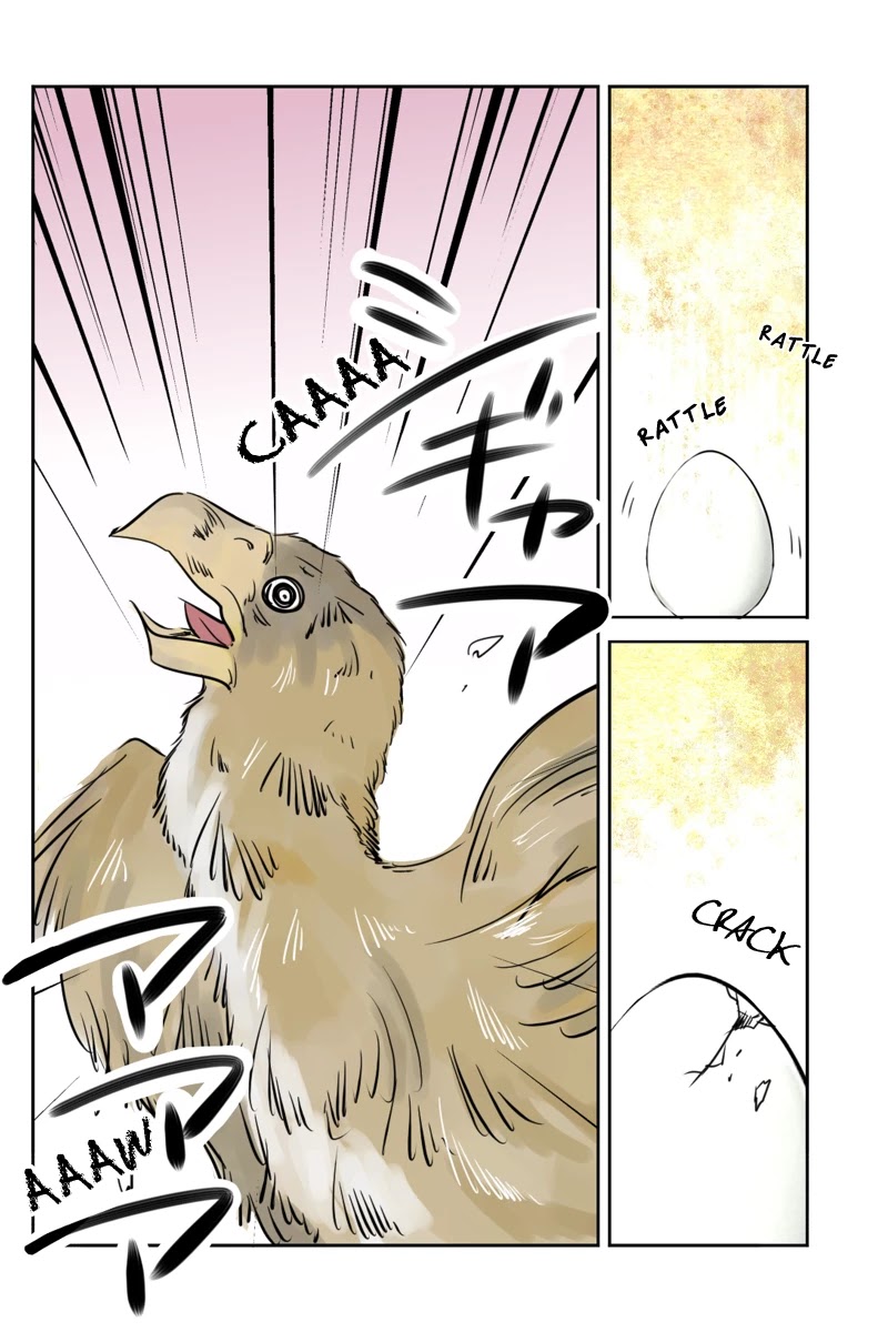 Fundamentals of Light chapter 18 page 2