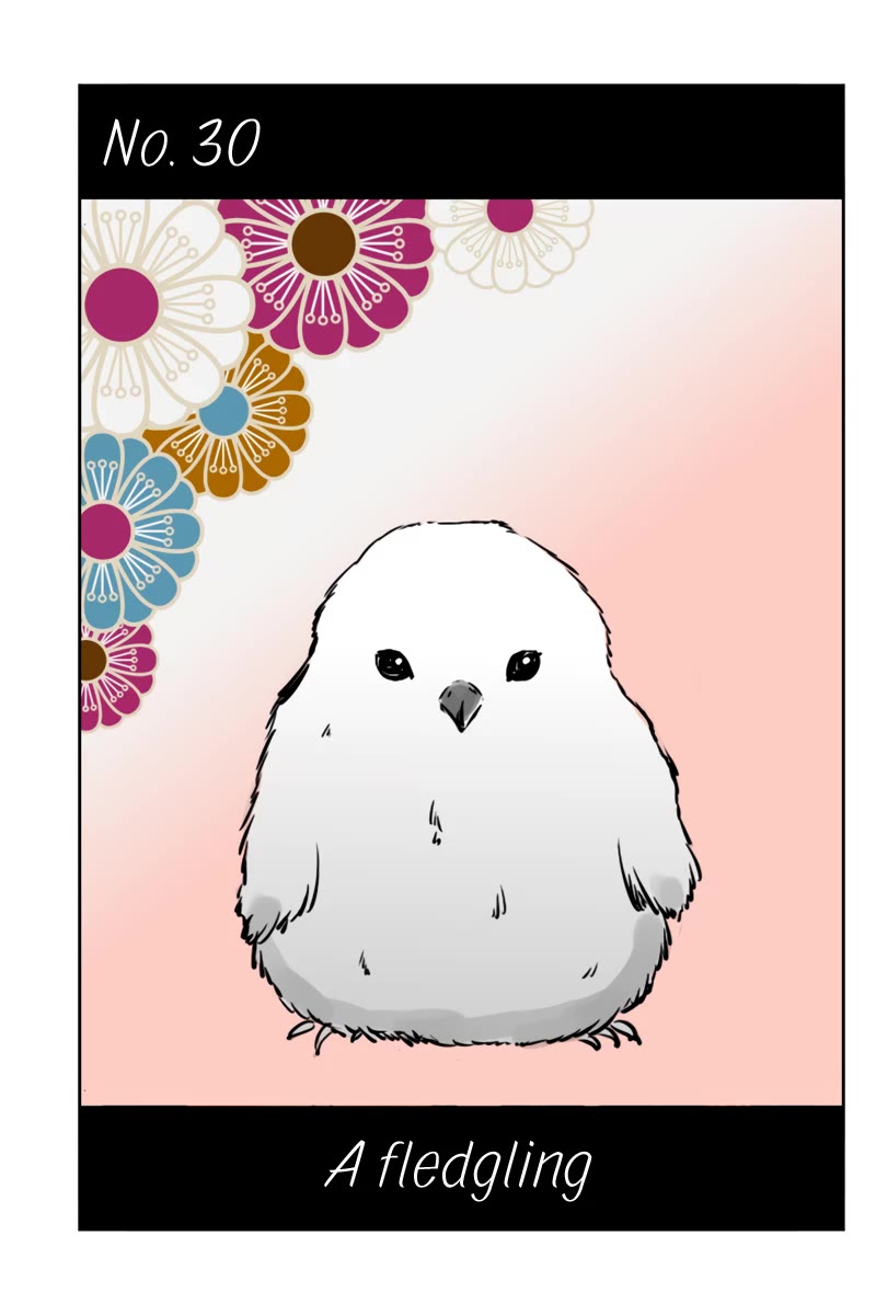 Fundamentals of Light chapter 30 page 1