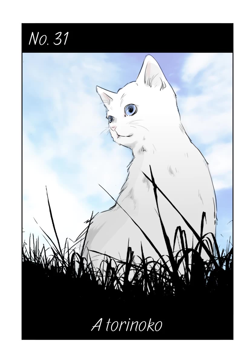 Fundamentals of Light chapter 31 page 1