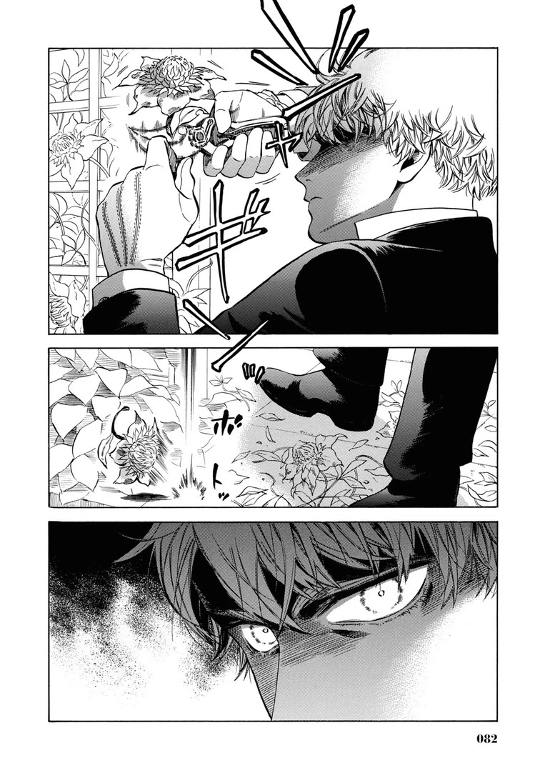 Fushigi no Kuni no Bird chapter 32 page 12