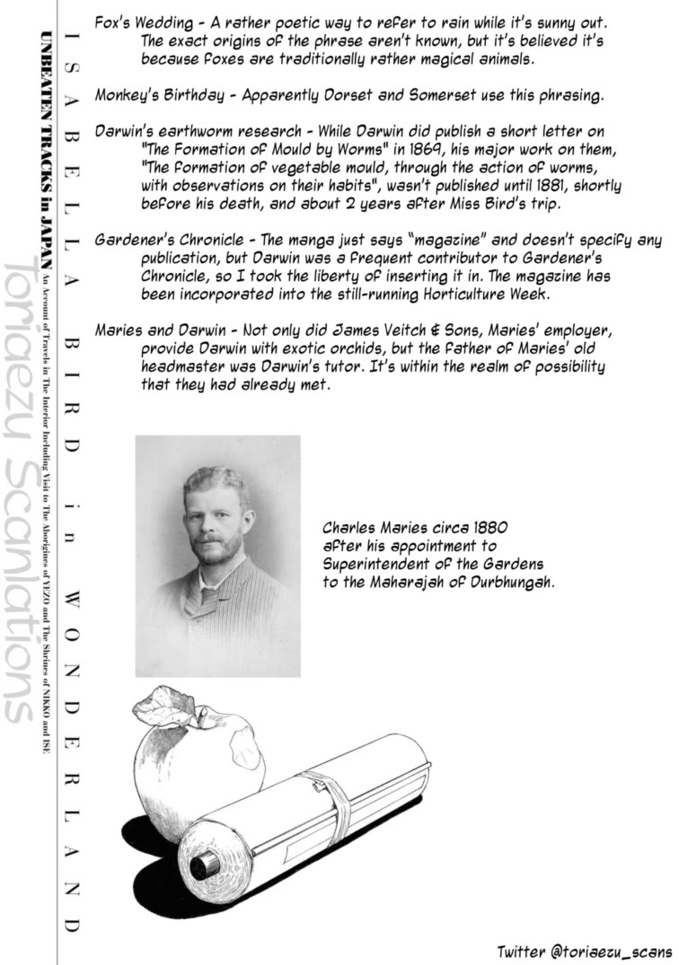 Fushigi no Kuni no Bird chapter 48 page 31