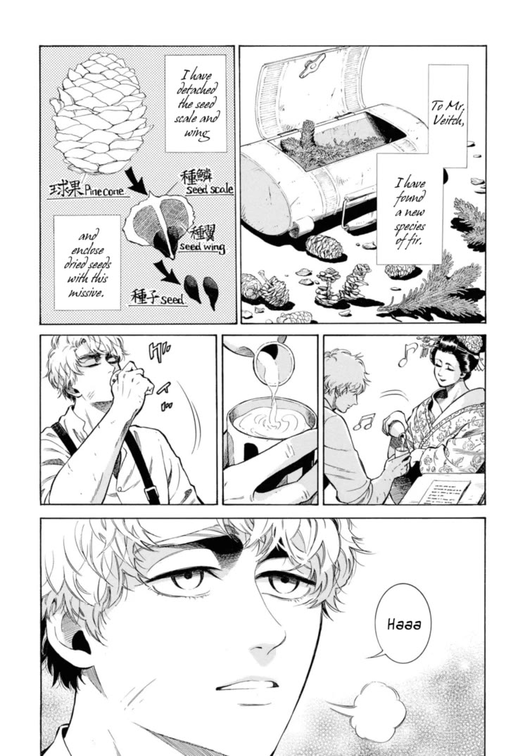 Fushigi no Kuni no Bird chapter 49.5 page 43