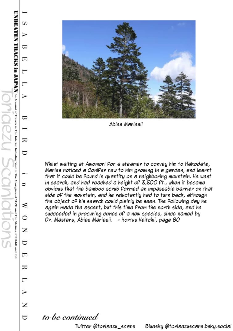 Fushigi no Kuni no Bird chapter 49.5 page 47