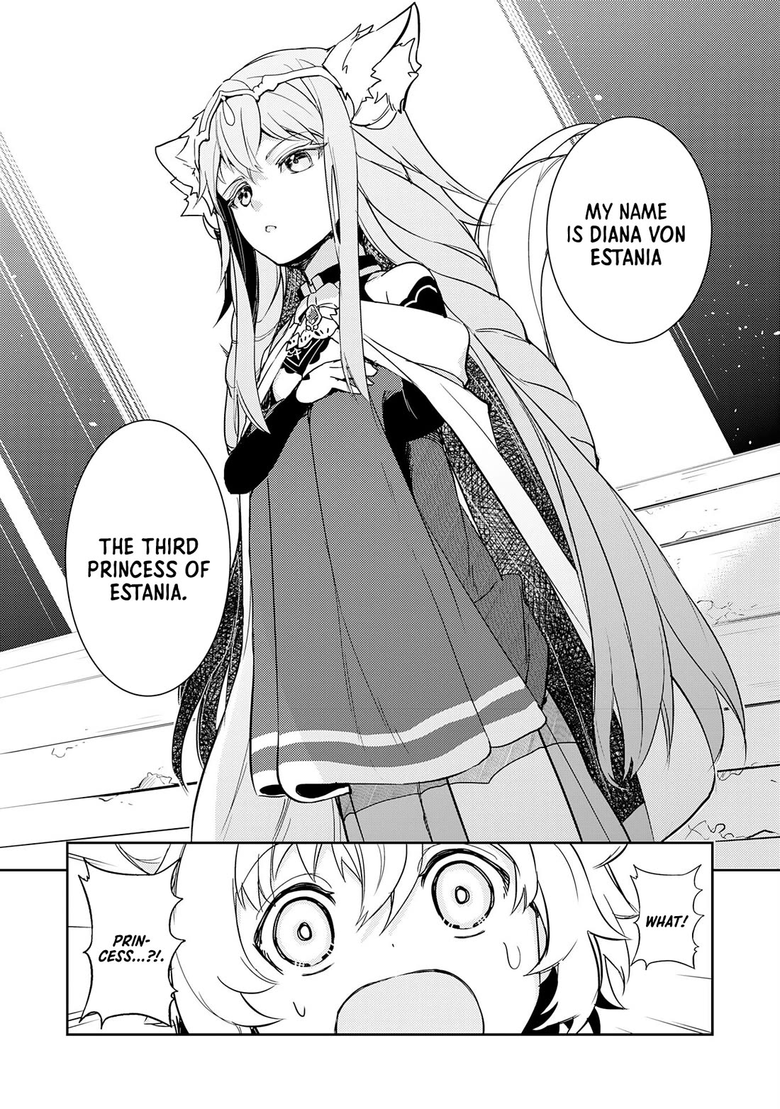 Fuun Kara no Saikyou Otoko chapter 11 page 15