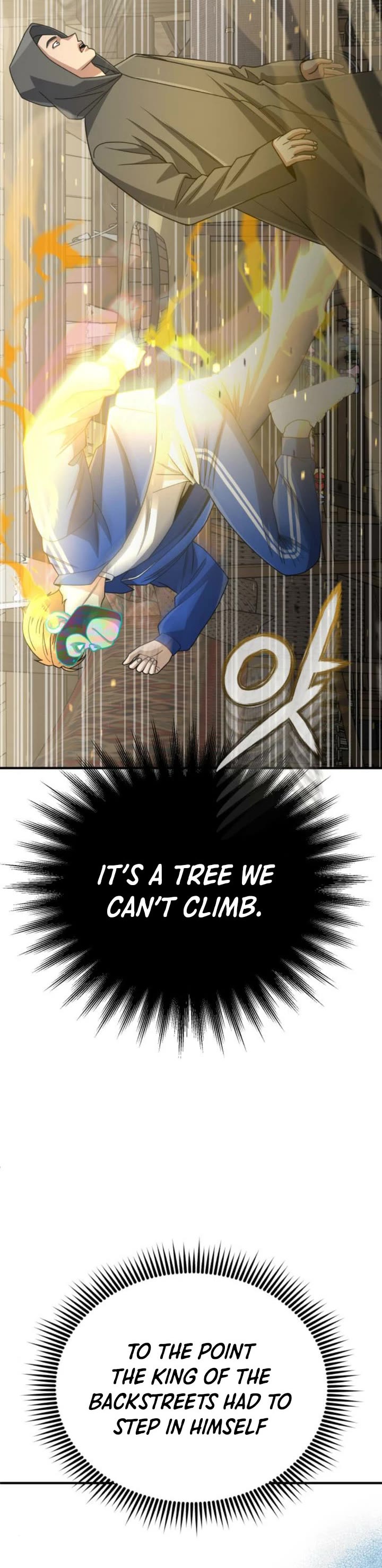 Genius of the Unique Lineage chapter 119 page 17