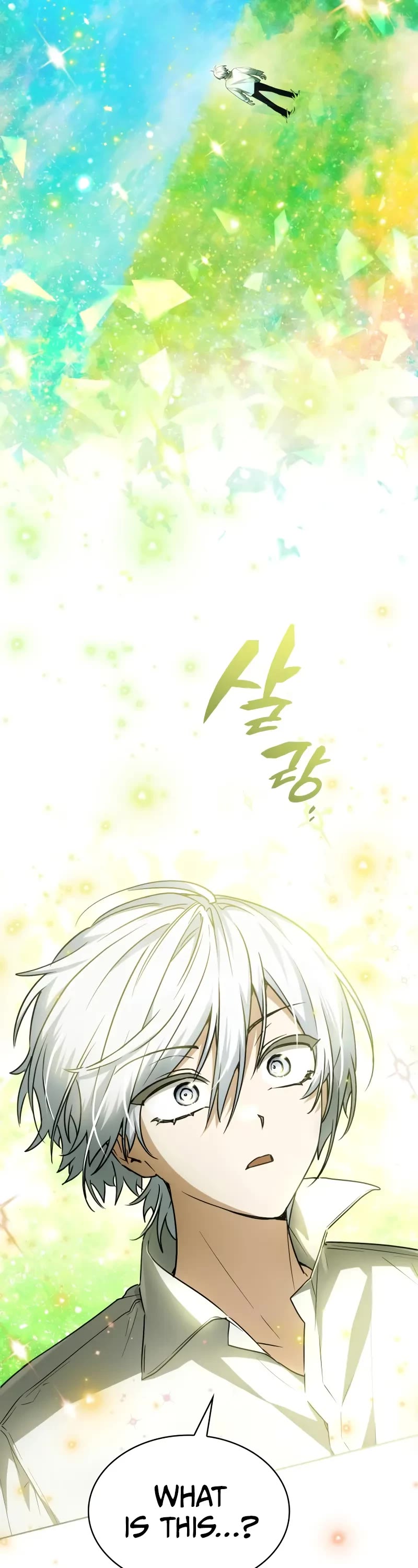 Genius Prismatic Mage chapter 29 page 14