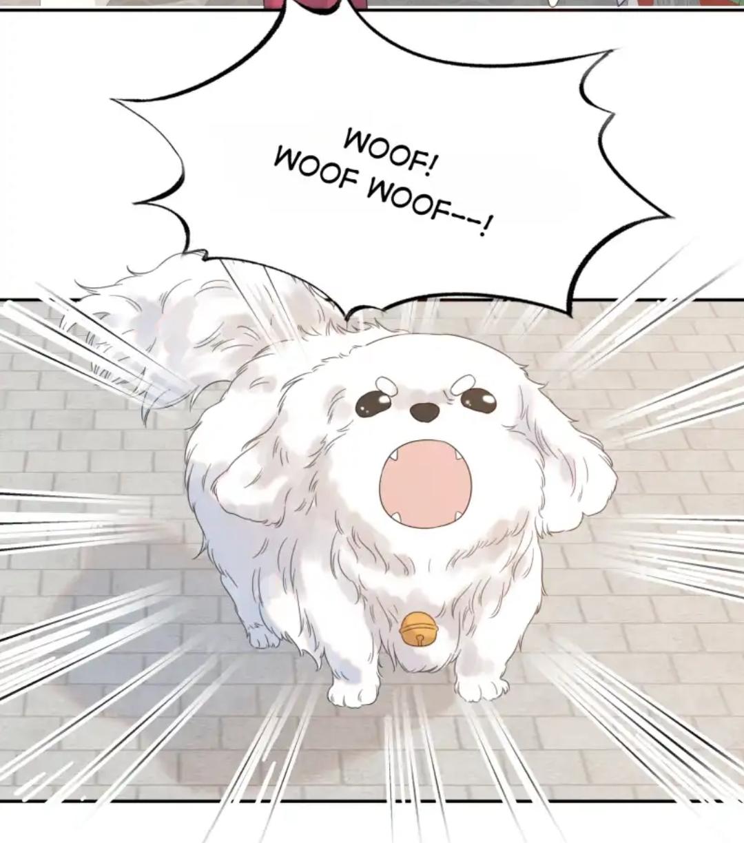 Get The Heroine’S Script chapter 10 page 6