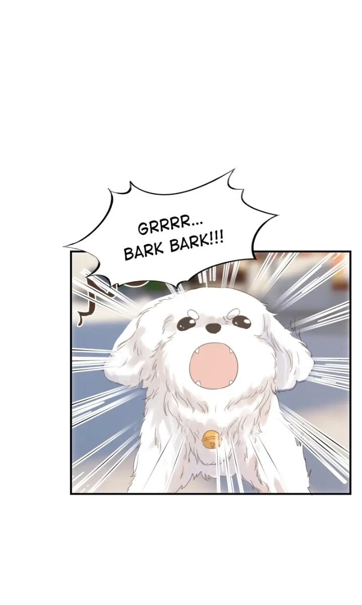 Get The Heroine’S Script chapter 65 page 39