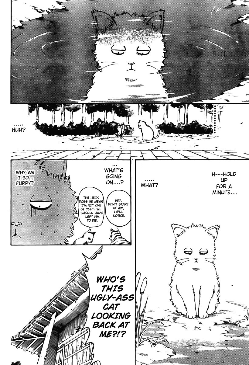 Gintama chapter 275 page 5