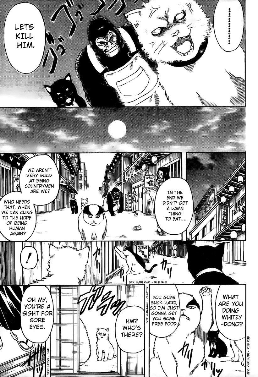 Gintama chapter 276 page 16