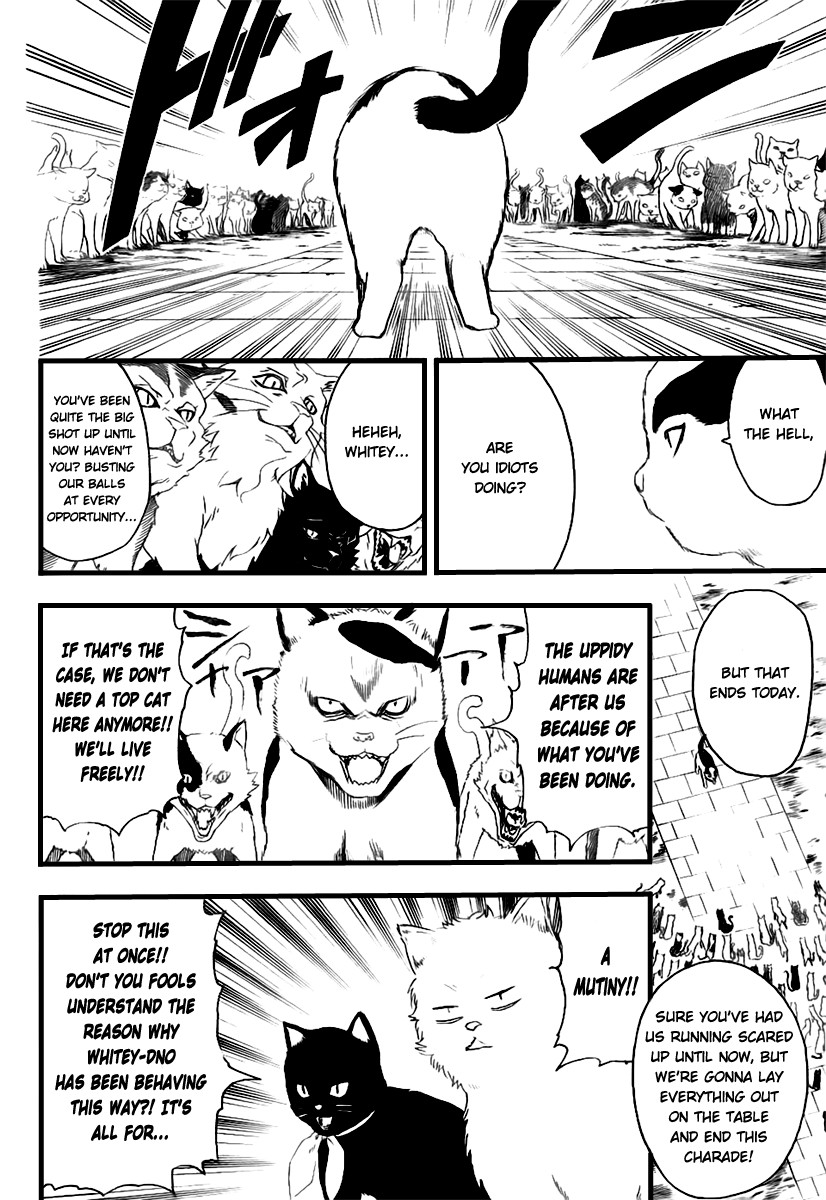 Gintama chapter 277 page 15