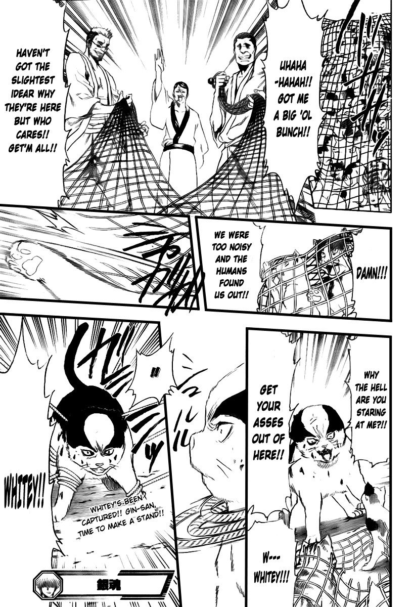 Gintama chapter 277 page 18