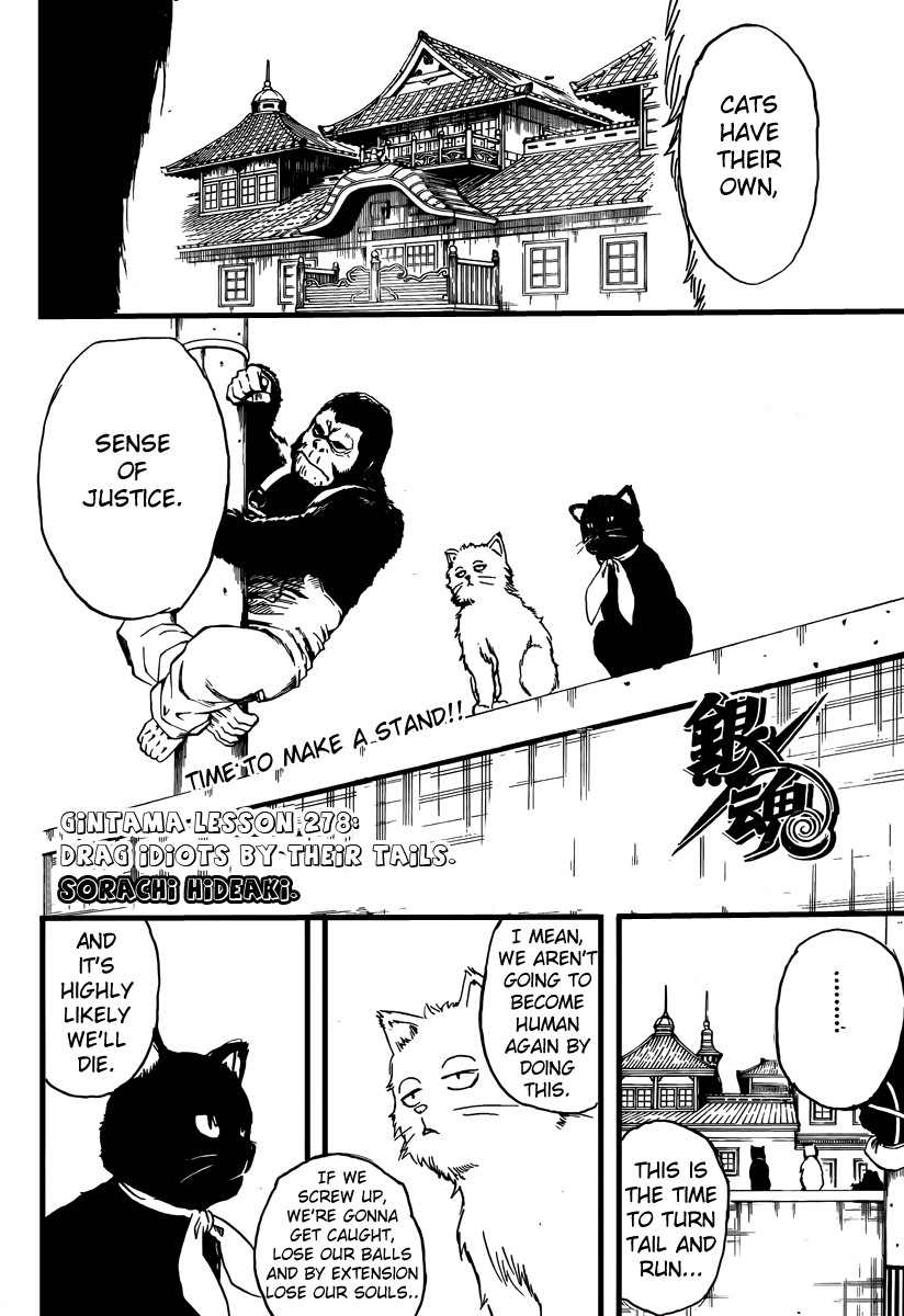 Gintama chapter 278 page 3