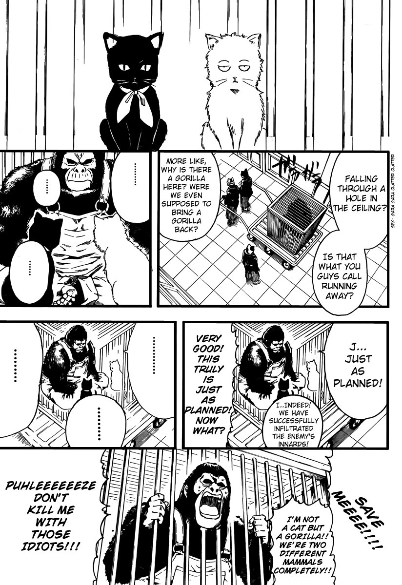 Gintama chapter 278 page 6