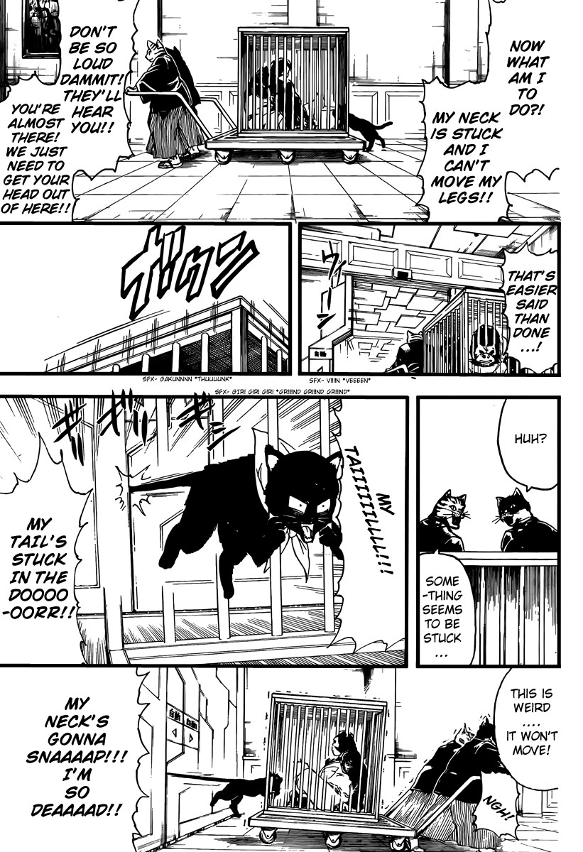 Gintama chapter 278 page 8