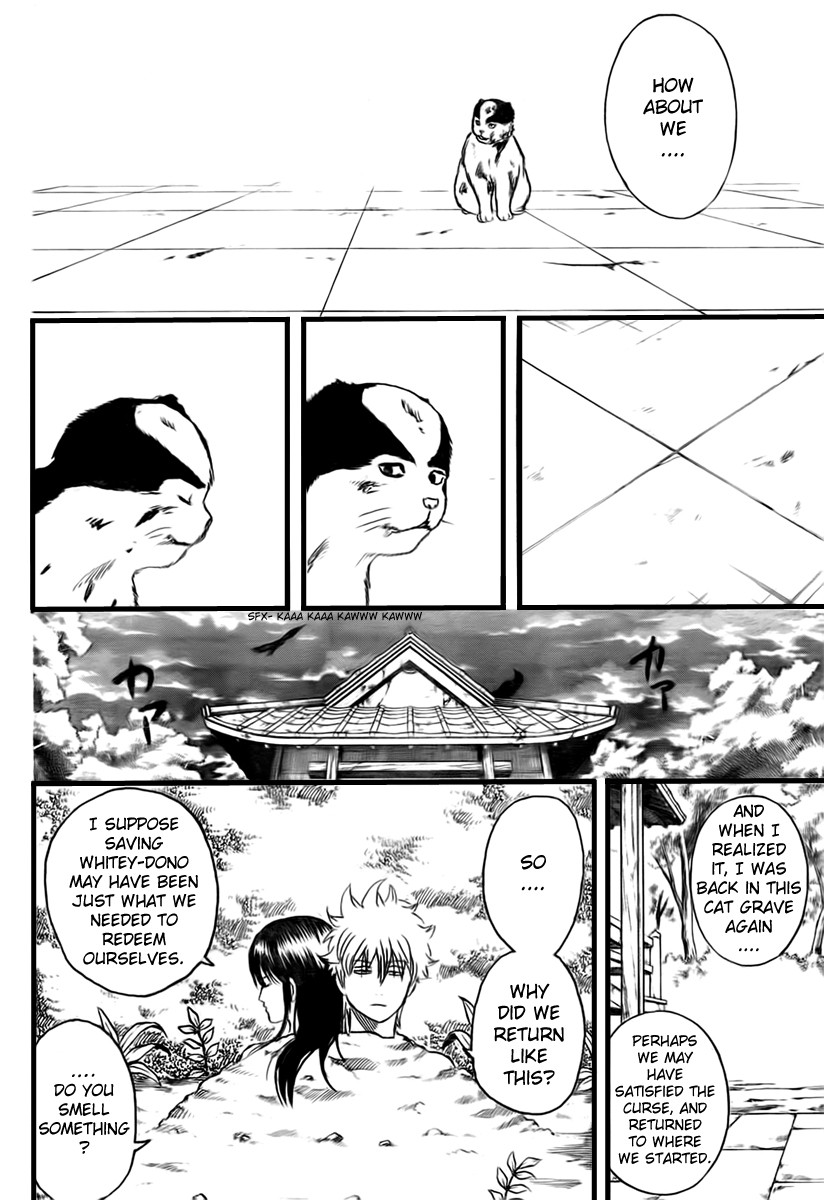 Gintama chapter 279 page 15