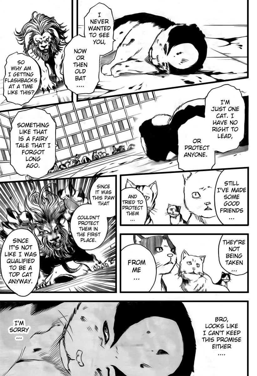 Gintama chapter 279 page 8