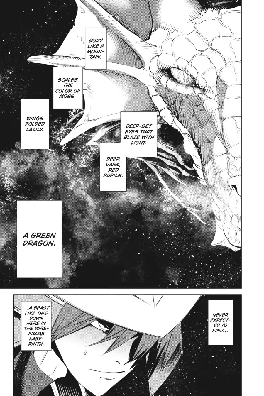 Goblin Slayer Gaiden 2: Tsubanari no Daikatana chapter 29 page 8