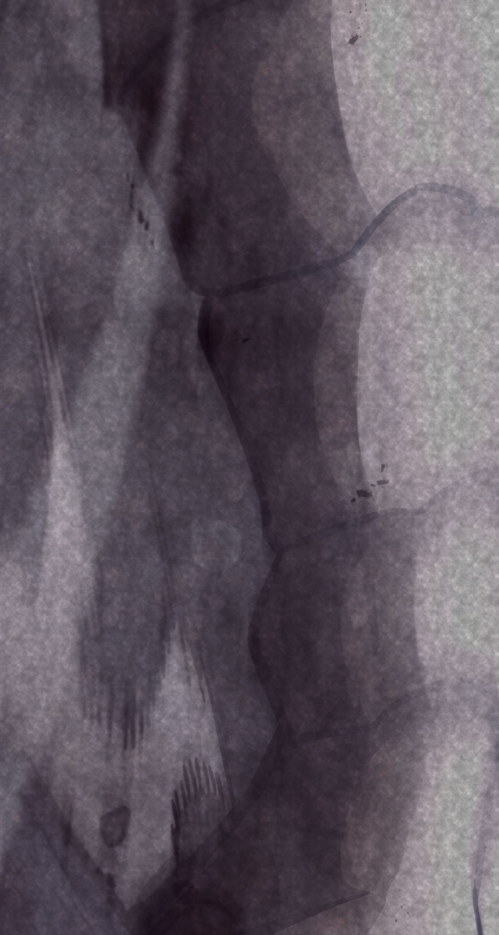 God Game chapter 69 page 95