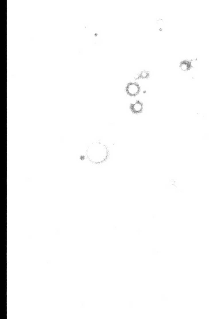 Great Teacher Onizuka chapter 189 page 24