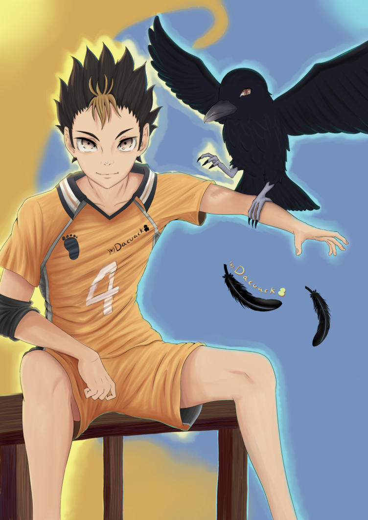 Haikyuu!! chapter 249 page 3