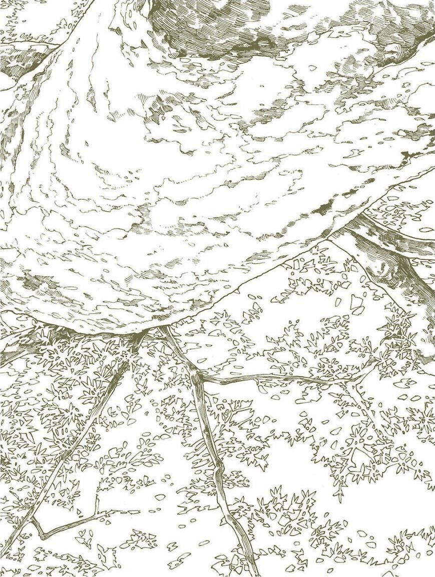 Hakumei to Mikochi chapter 15.1 page 2