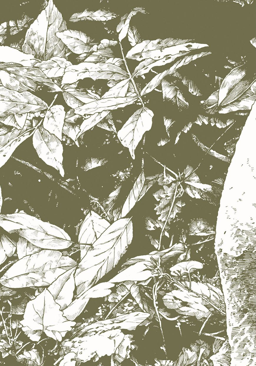 Hakumei to Mikochi chapter 20.1 page 2