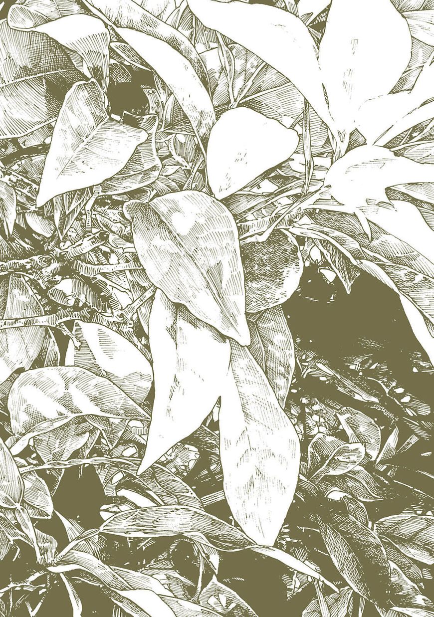 Hakumei to Mikochi chapter 27 page 2