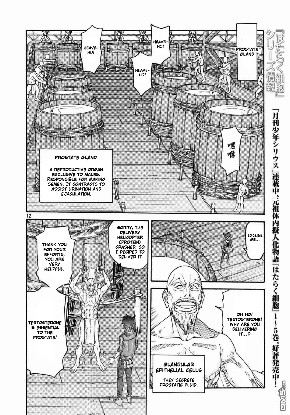 Hataraku Saibou BLACK chapter 20 page 12