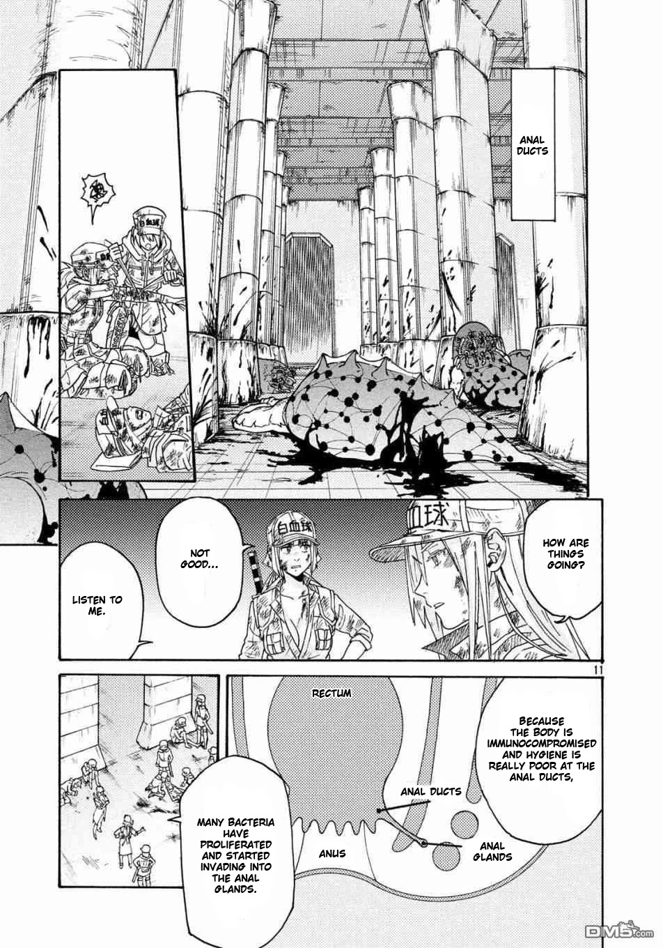 Hataraku Saibou BLACK chapter 21 page 11